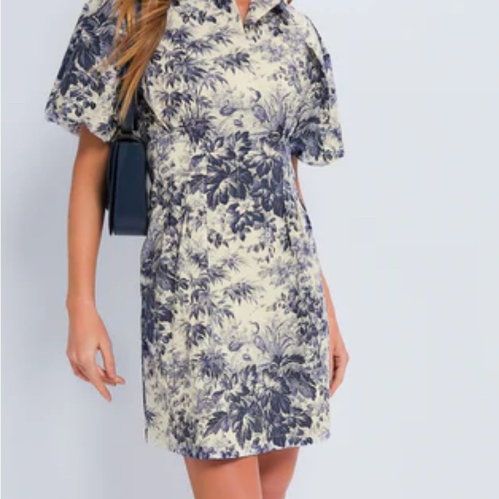 Tuckernuck Blue and Cream Leaf Print Mini Dress
